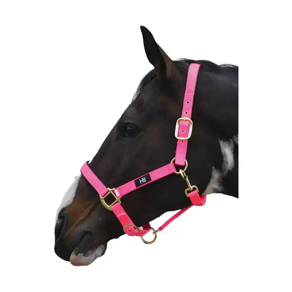 Hy Equestrian Grand Prix Head Collar Chocolate Brown Pony Headcollars