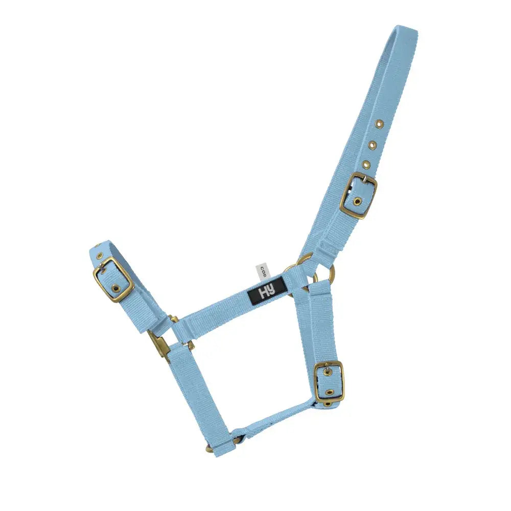 Light blue woven fabric horse halter with brass buckles hy equestrian holly fully adjustable practical everyday head collar