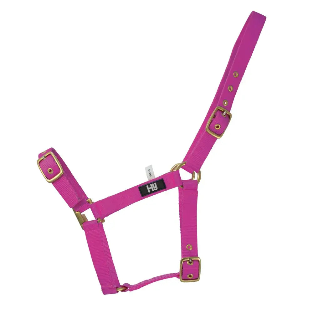 Bright pink nylon hy equestrian holly fully adjustable head collar with gold-tone buckles for practical everyday head use