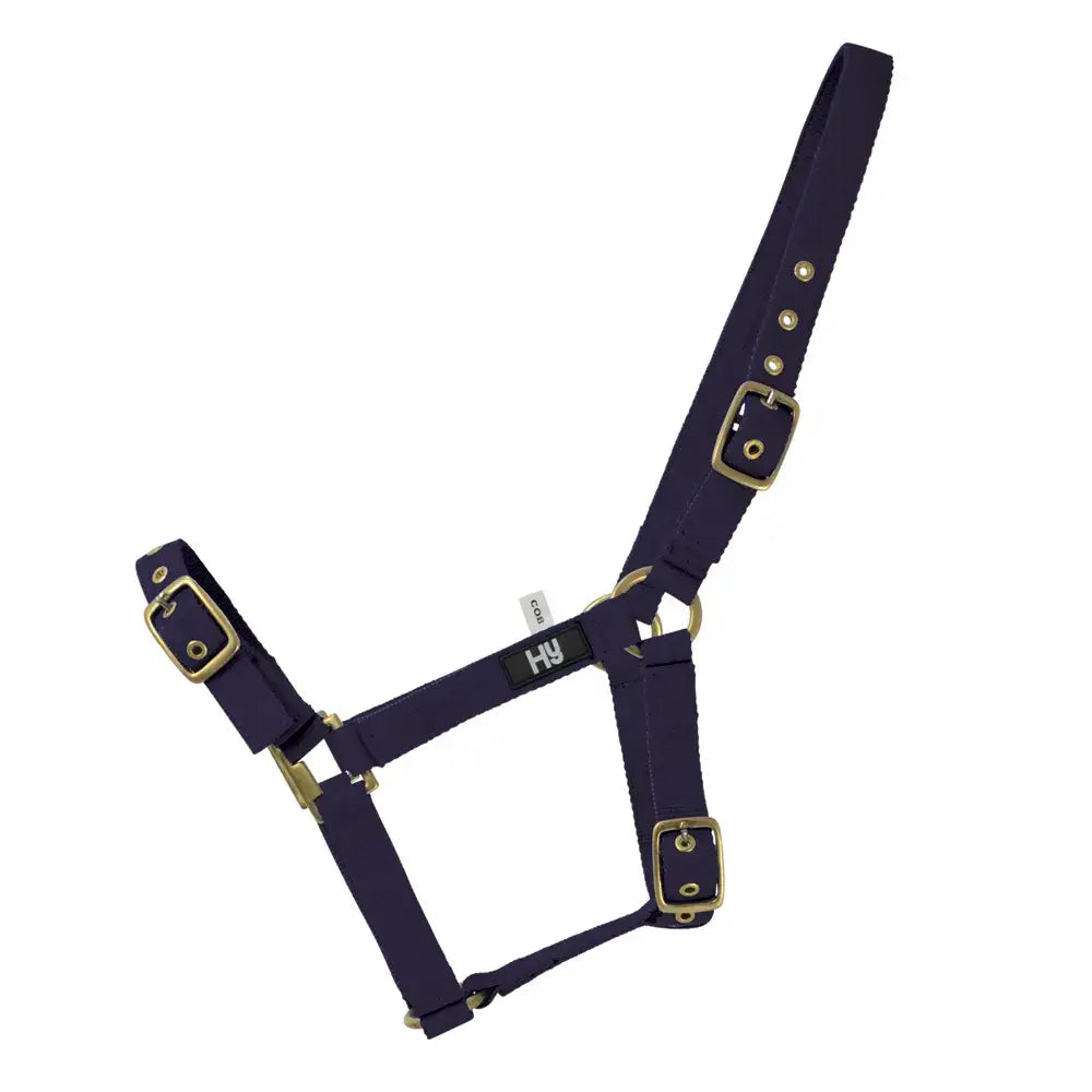 Navy blue leather horse halter with brass buckles hy equestrian holly fully adjustable practical everyday head collar