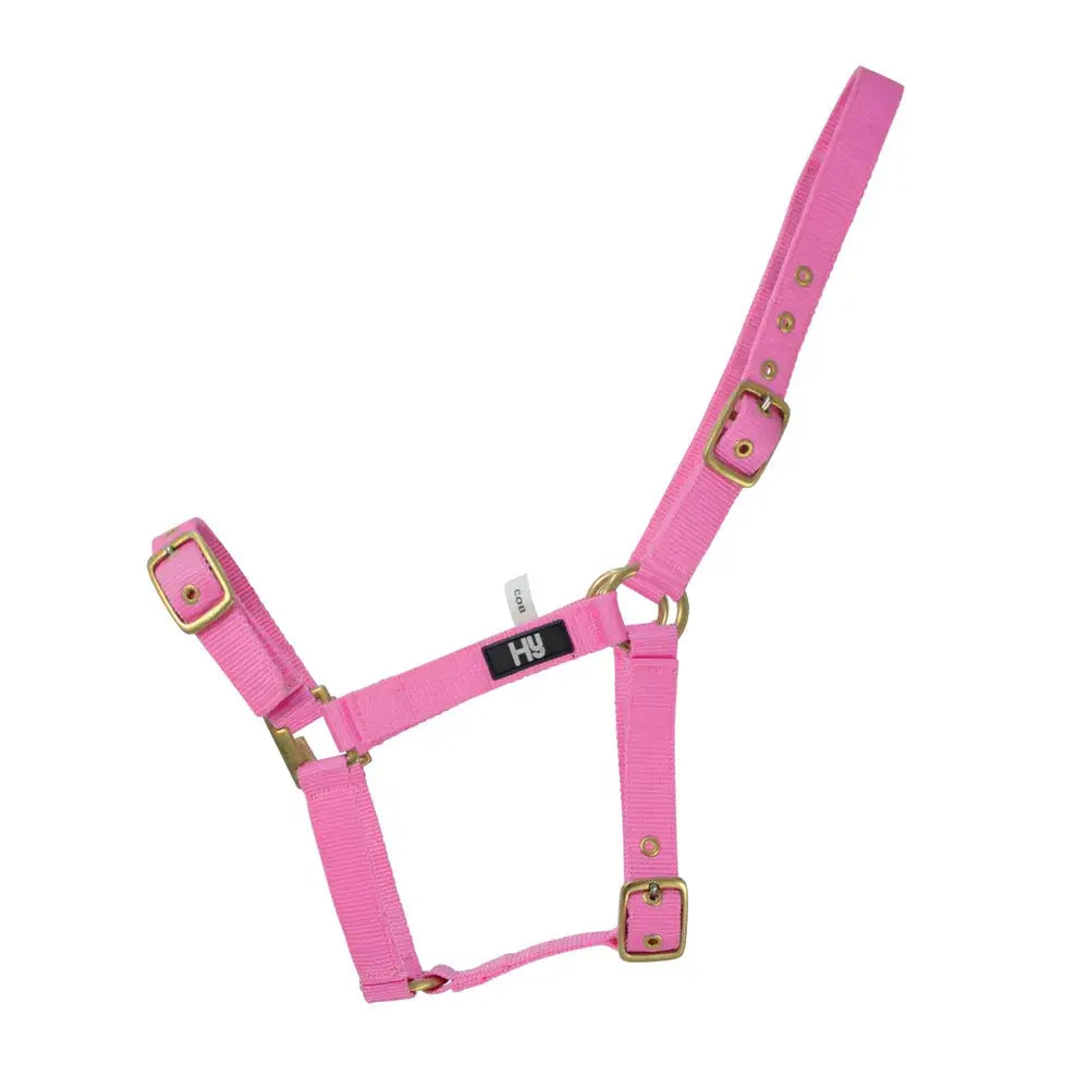 Pink nylon hy equestrian holly fully adjustable head collar with gold-tone buckles practical everyday head gear