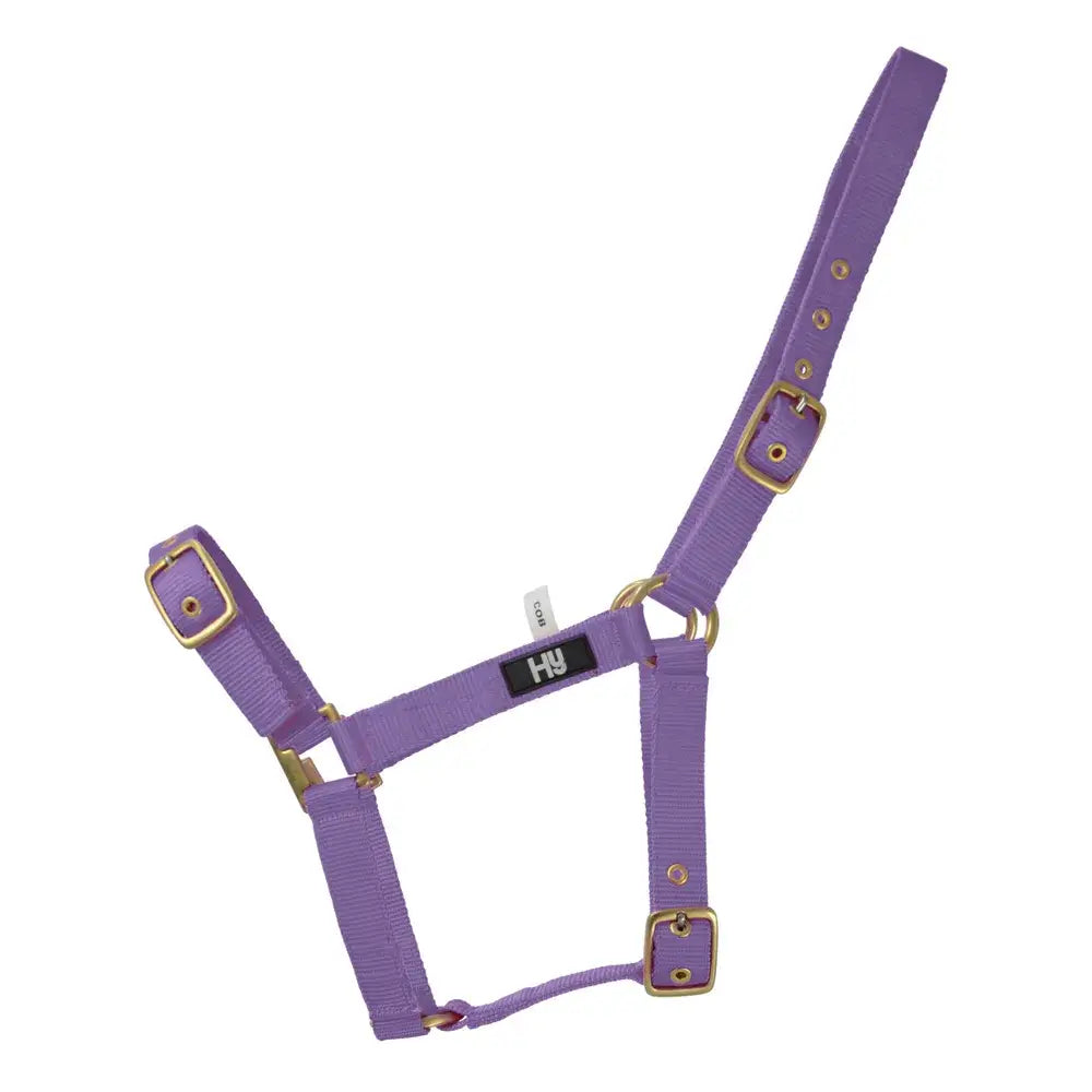 Purple nylon hy equestrian holly fully adjustable head collar with gold-tone buckles and d-rings practical everyday head