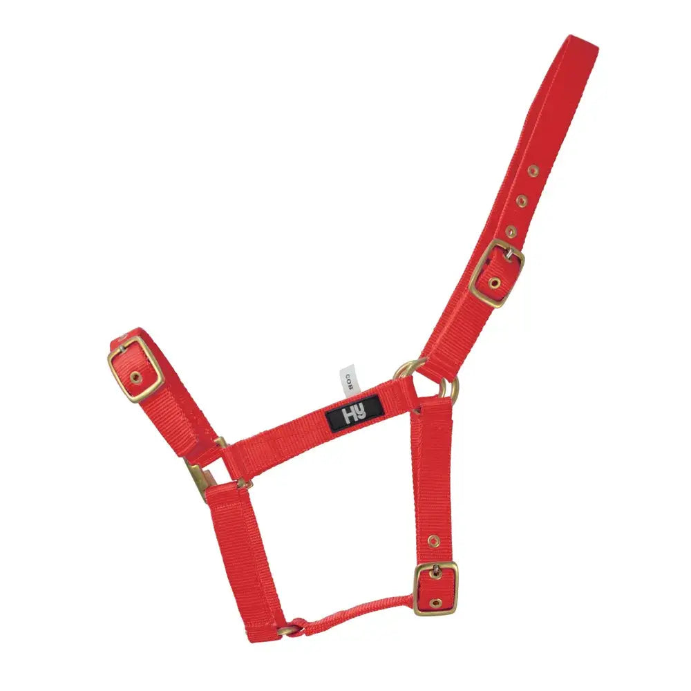 Red nylon hy equestrian holly fully adjustable head collar with gold-tone buckles for practical everyday head use