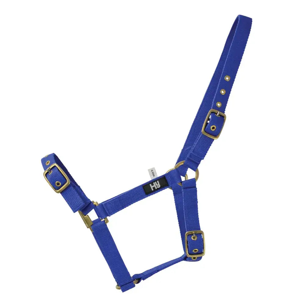Bright blue nylon hy equestrian holly fully adjustable head collar with brass hardware for practical everyday head use