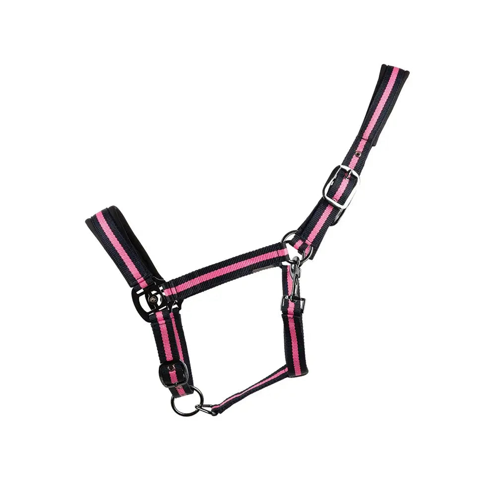 Black and pink striped hy equestrian ink head collar with silver metal blue ink hardware for horses