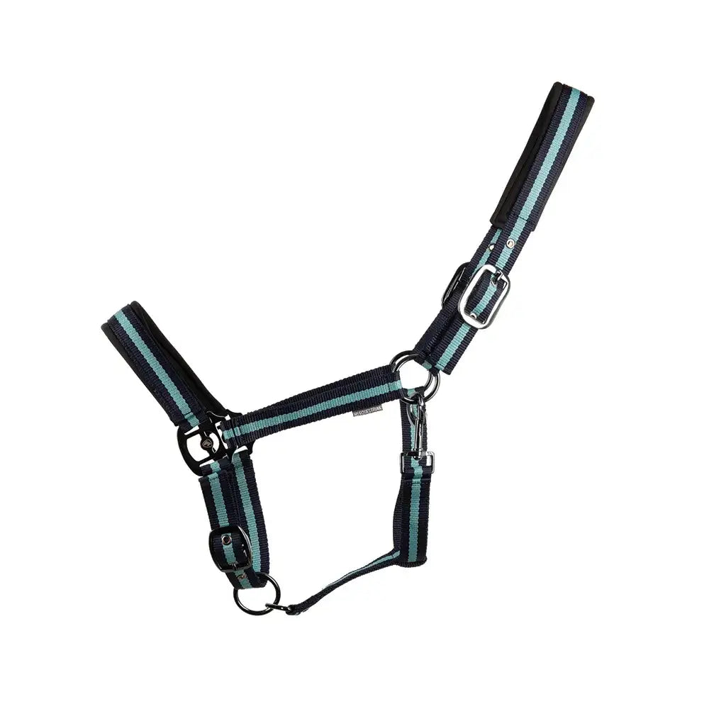 Black and teal striped nylon ink head collar with silver blue ink hardware for equestrian use by Hy Equestrian