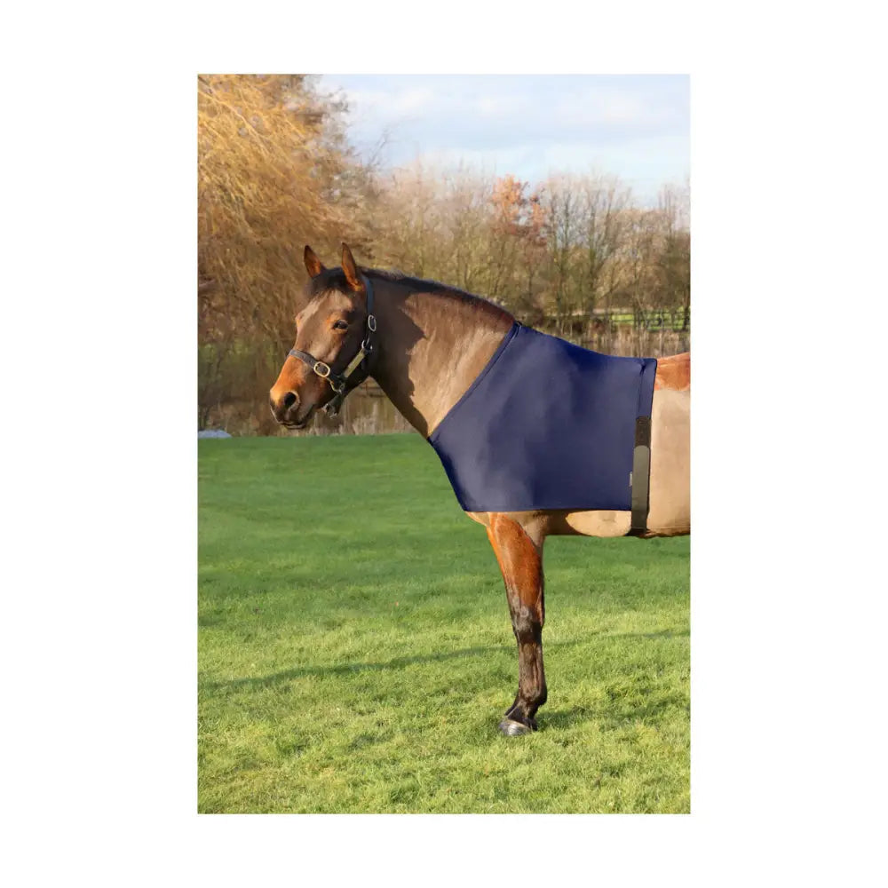 Navy blue equestrian lycra flex shoulder vest with black straps and smooth durable fabric to prevent rug rubs