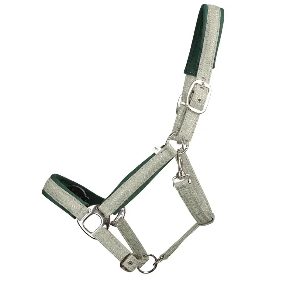 Gray and green leather shimmer head collar with silver hardware in hy equestrian mermaid shimmer lead rope set