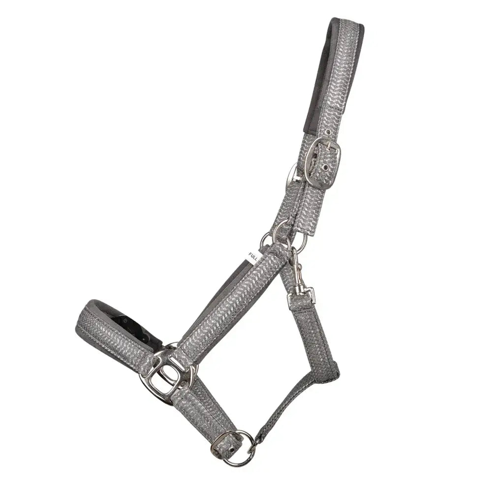 Silver textured equestrian mermaid shimmer shimmer head collar with metallic buckle and d-ring lead rope set
