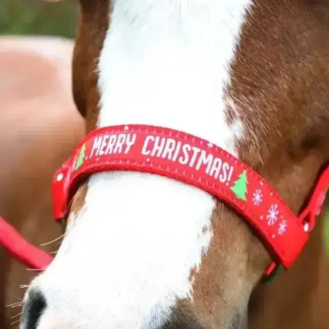 Red christmas-themed horse halter with festive green trees and snowflakes fabric strap for equestrian merry christmas use