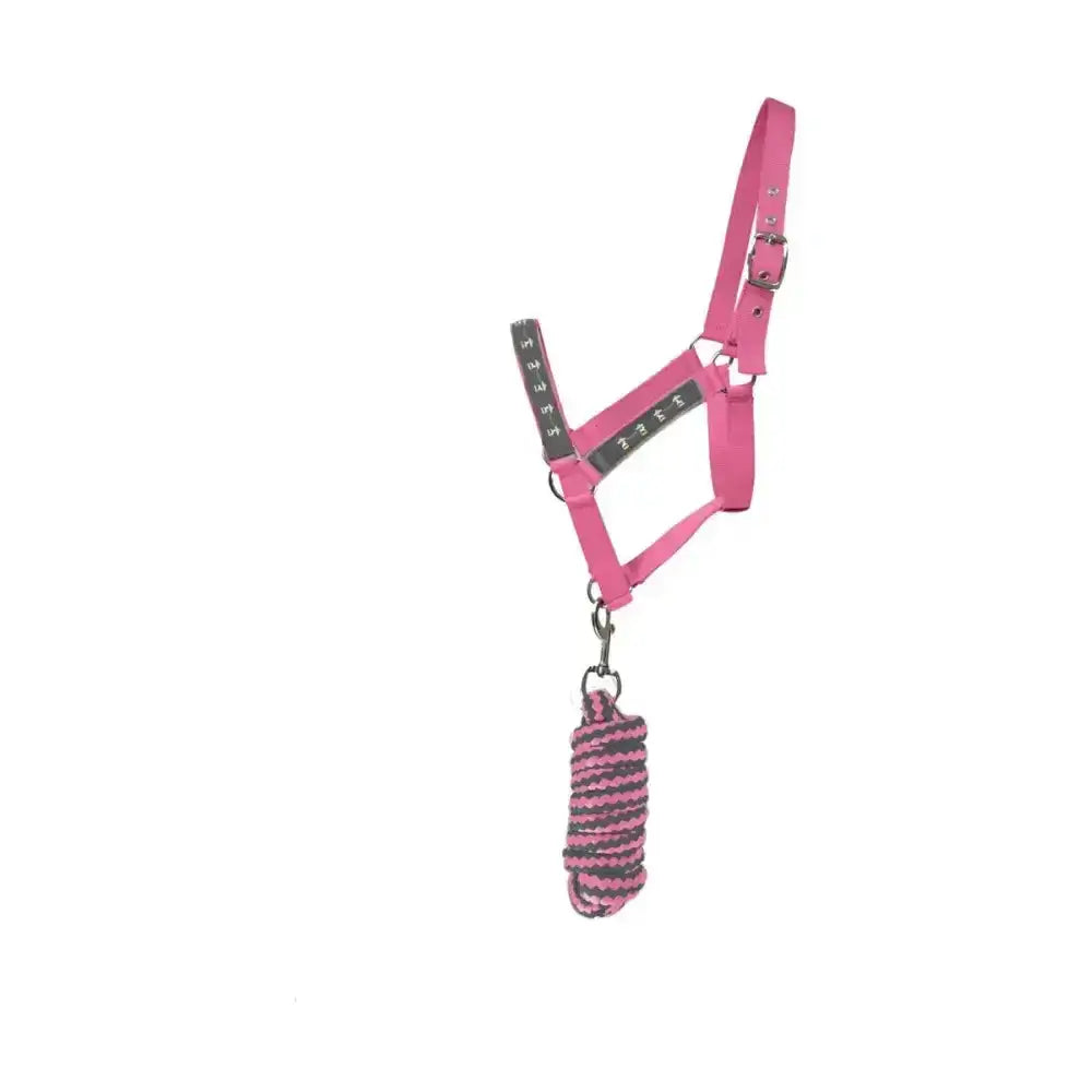 Pink leather round head collar with black measurement marks and matching pink and black braided lead rope by hy equestrian