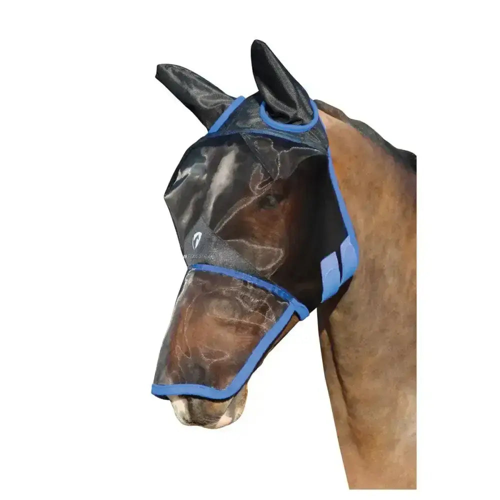 Black equestrian mesh fly mask with blue trim fleece panel adjustable straps for full face horse protection