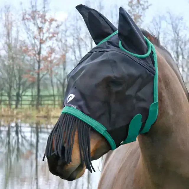 Black mesh equestrian mesh half mask with green trim, ear flaps, and fly fringe for horse fly protection