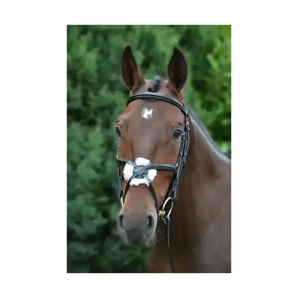 Hy Equestrian Mexican Bridle with Rubber Grip Reins Black X Small Mexican Bridles