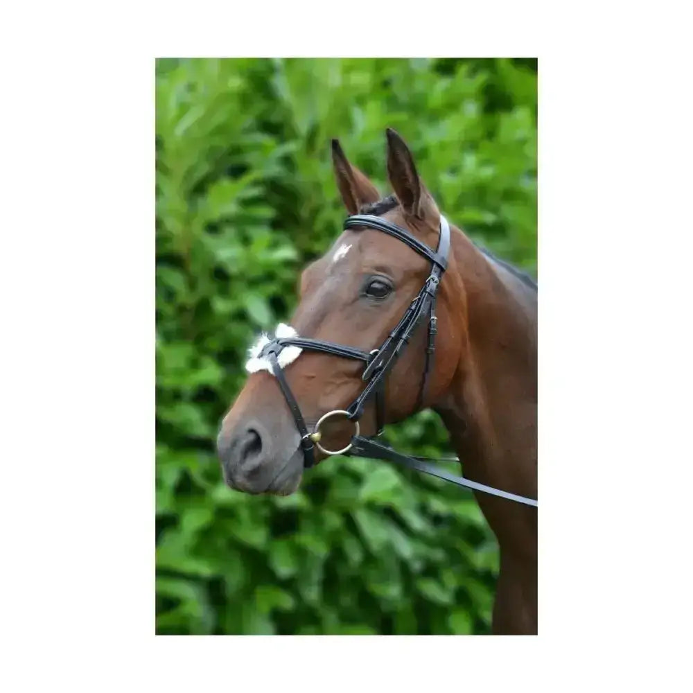Black leather equestrian mexican bridle with silver hardware and white decorative noseband with rubber grip reins