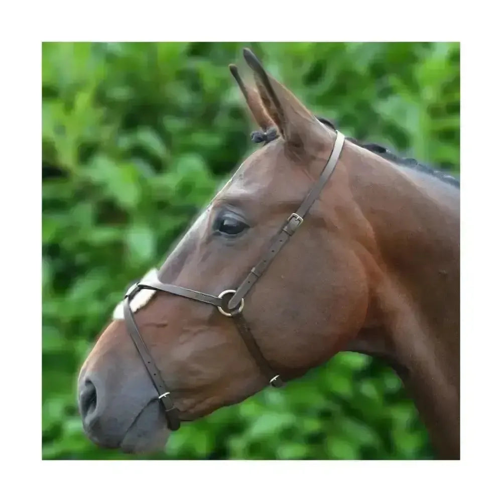 Hy Equestrian Mexican Grackle Nose Band Brown Cob Nosebands