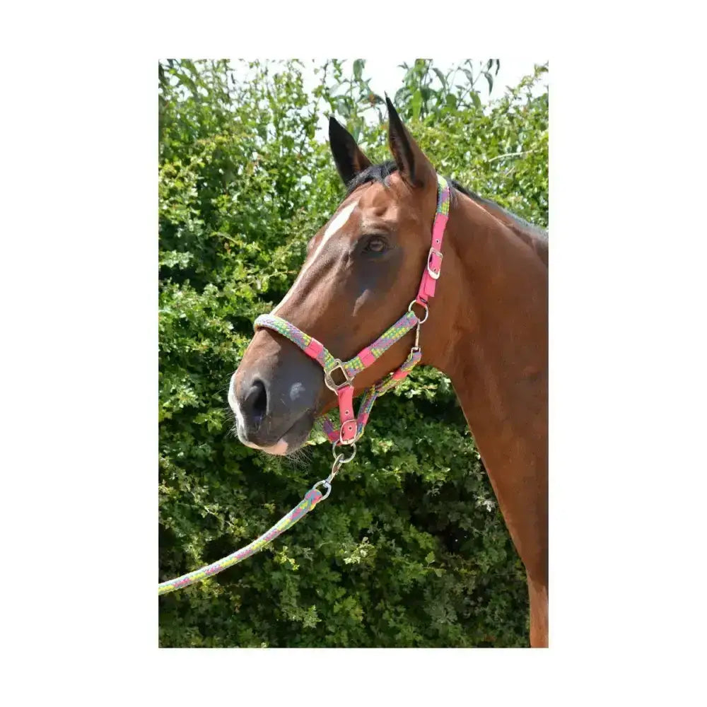Hy equestrian multicolour adjustable head collar with pink and green patterned horse halter and matching rope