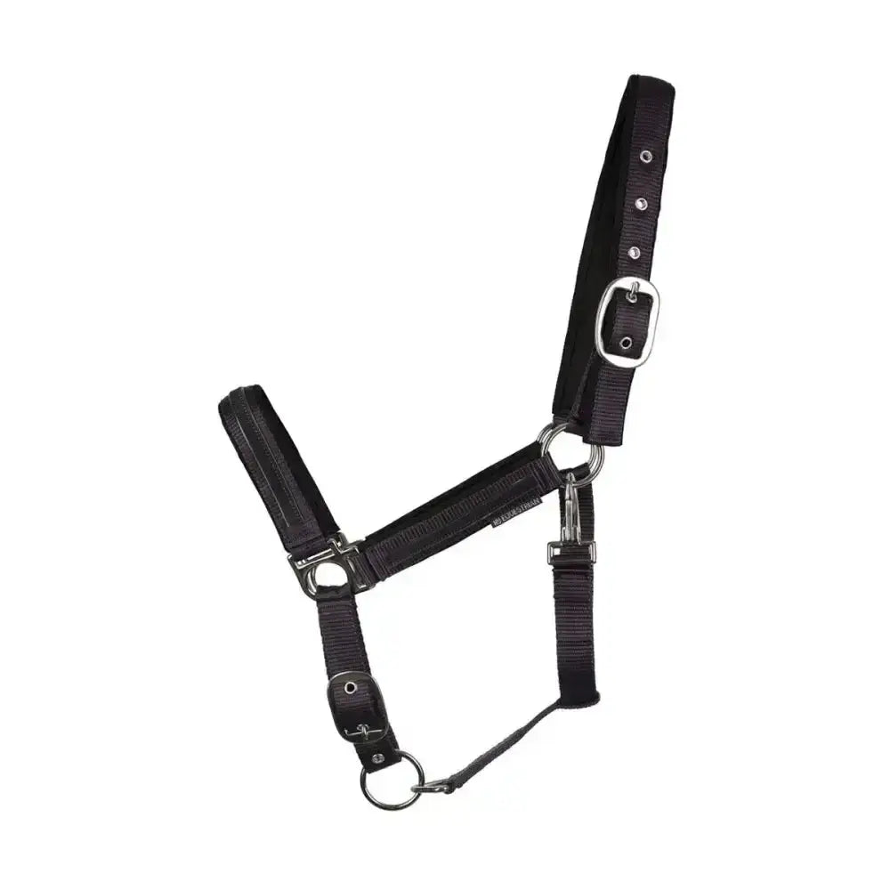 Hy Equestrian Mystic Head Collar Navy/Rainbow Dust Cob Headcollars