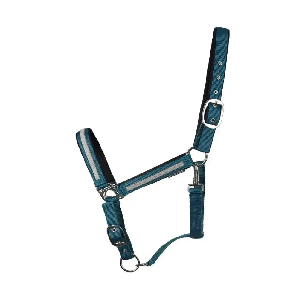 Teal hy equestrian mystic head collar with reflective stripes and silver hardware perfect for any horse’s wardrobe