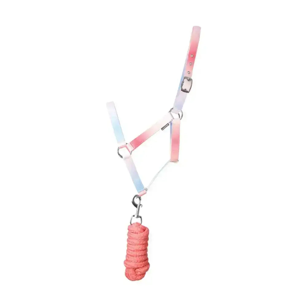 Pastel gradient equestrian ombre head collar with matching coral-colored rope lead for stylish riding use
