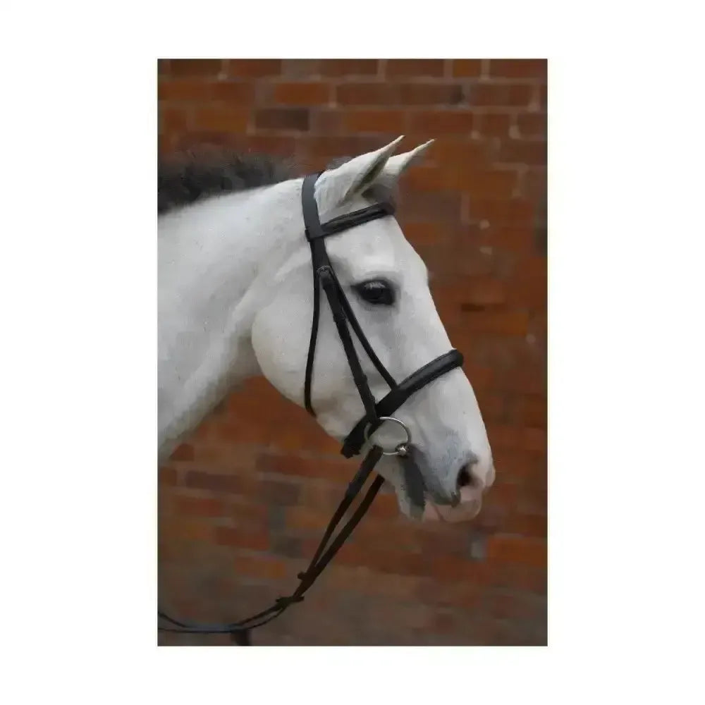Hy Equestrian Padded Cavesson Bridle with Rubber Grip Reins Black X Small 1/2'' Cavesson Bridle