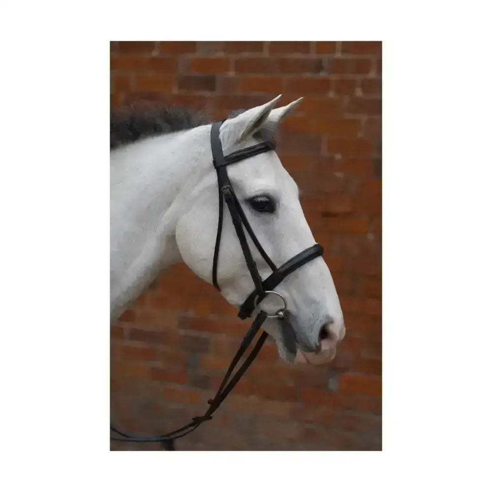 Black leather hy equestrian padded cavesson bridle with metal buckle and rubber grip reins for riding