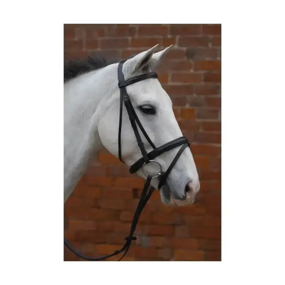 Black leather padded flash bridle with silver buckle and rubber grip reins from hy equestrian