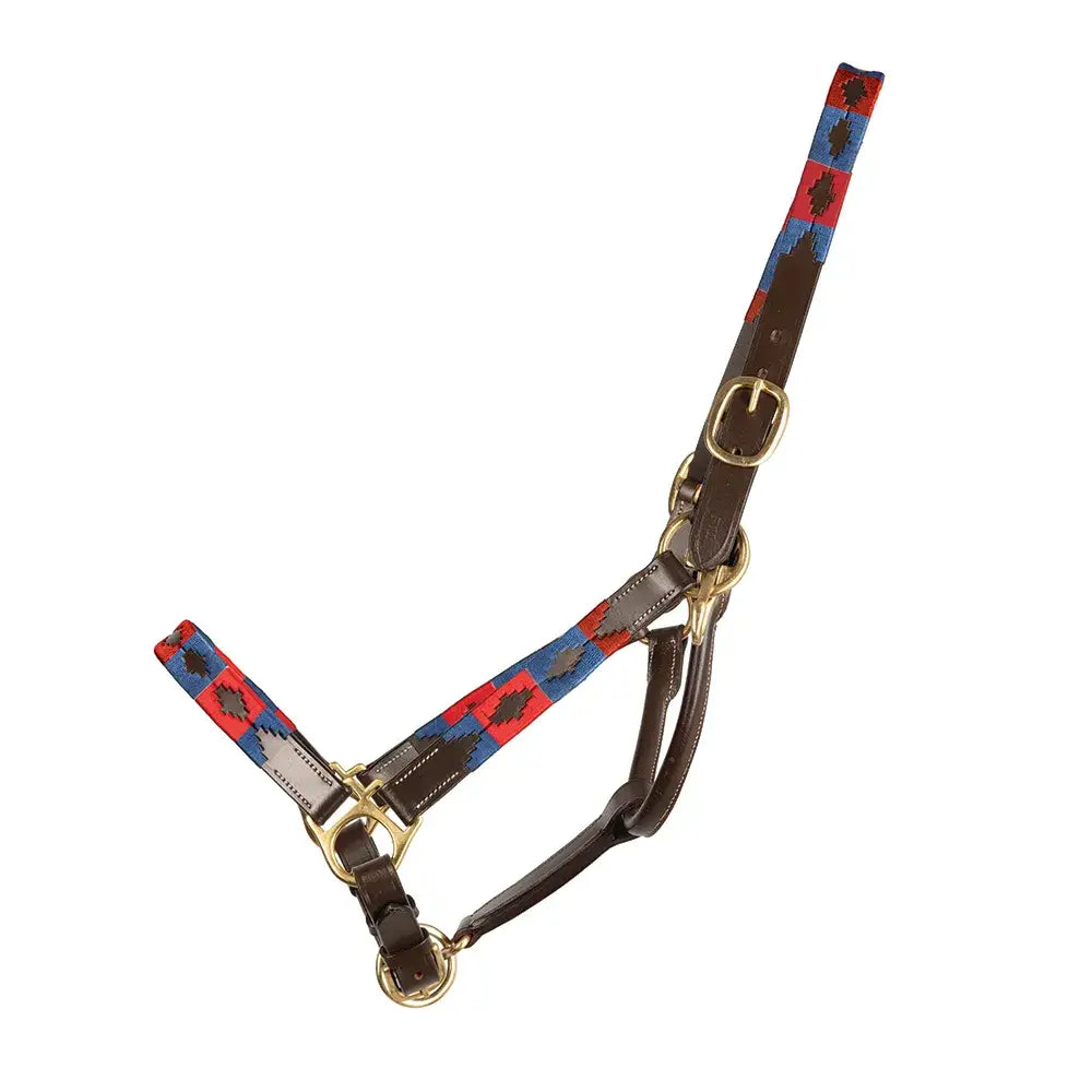 Brown leather equestrian polo leather head collar with red and blue woven straps and brass hardware