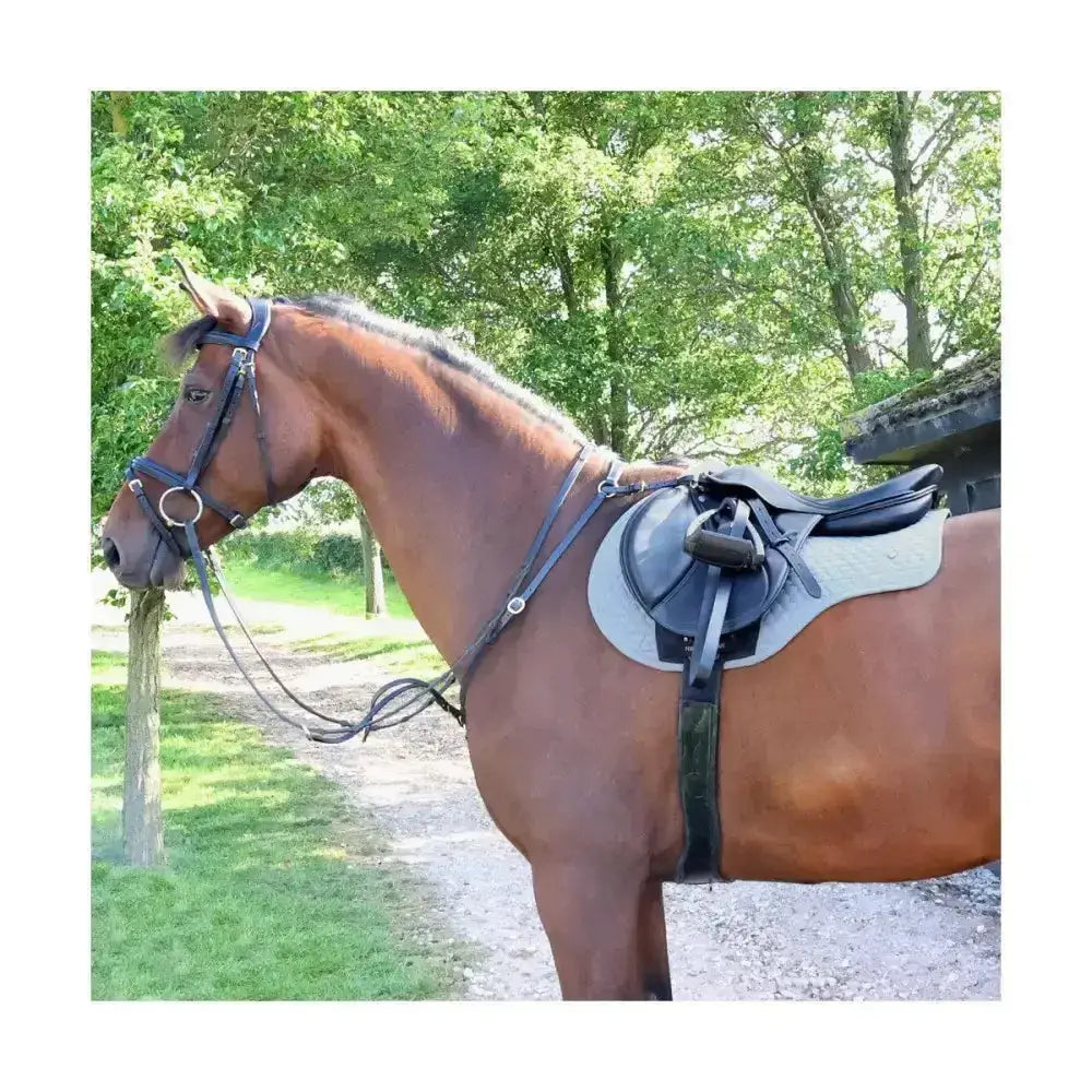 Brown horse wearing a black leather saddle and bridle with hy equestrian pro reaction close contact saddle pad