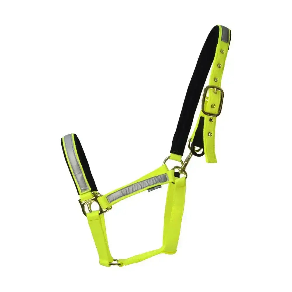 Bright neon yellow hy equestrian reflective fieldsafe head collar with fluorescent yellow fabric and black accents