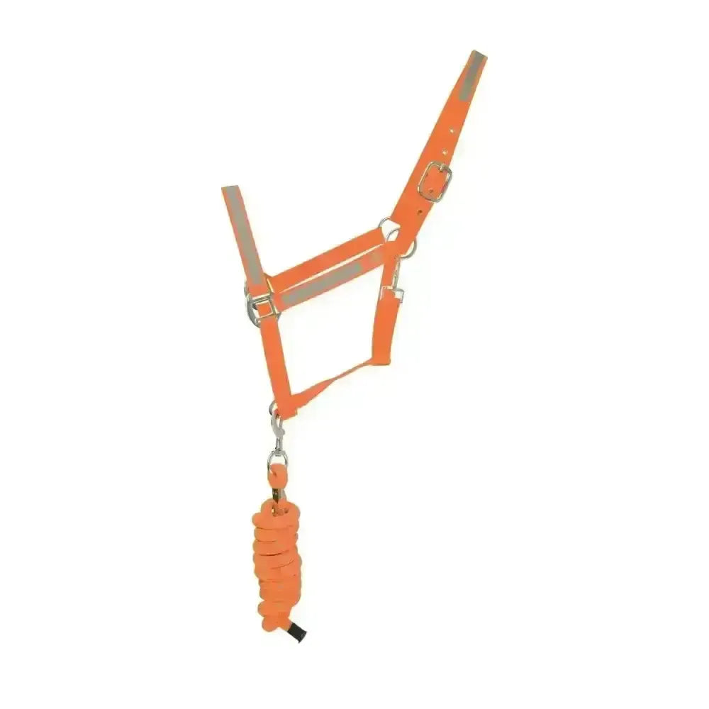 Hy Equestrian Reflector Head Collar and Lead Rope Orange Cob Headcollar Sets