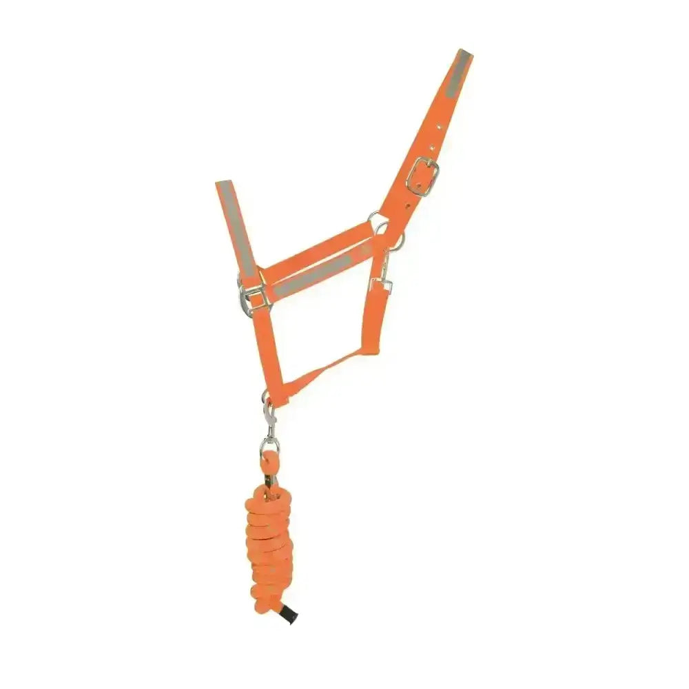 Bright orange hy equestrian reflector head collar and lead rope set with reflective strips for safe riding visibility