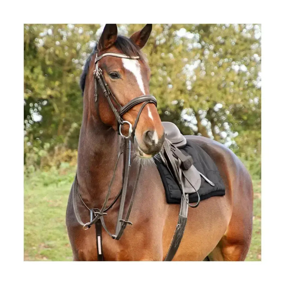 A brown horse wearing a black leather saddle and bridle with the hy equestrian rosciano rose gold brow band