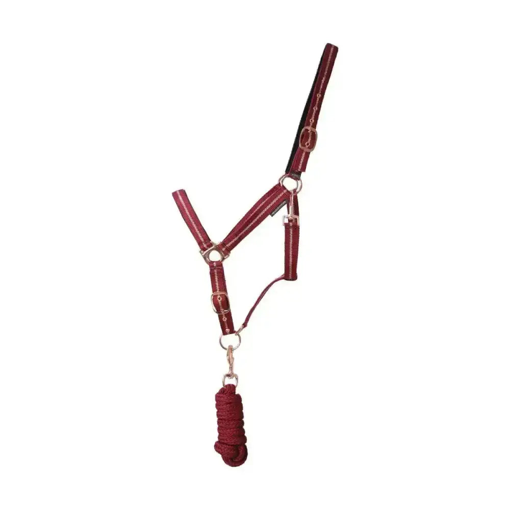 Maroon leather glitter head collar and matching rope lead from hy equestrian rose glitter set for horses