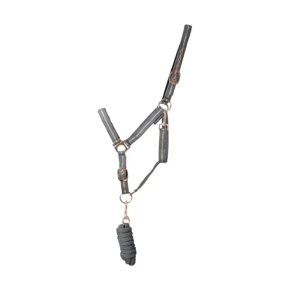 Gray leather glitter head collar with metal buckles and coiled lead rope from hy equestrian rose glitter set