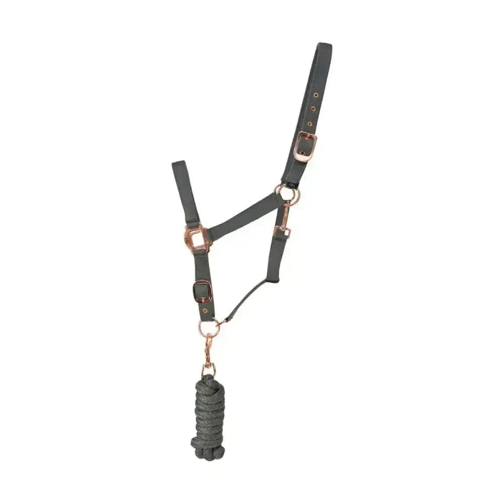 Dark gray leather rose gold head collar with fully adjustable buckles and matching braided lead rope by hy equestrian