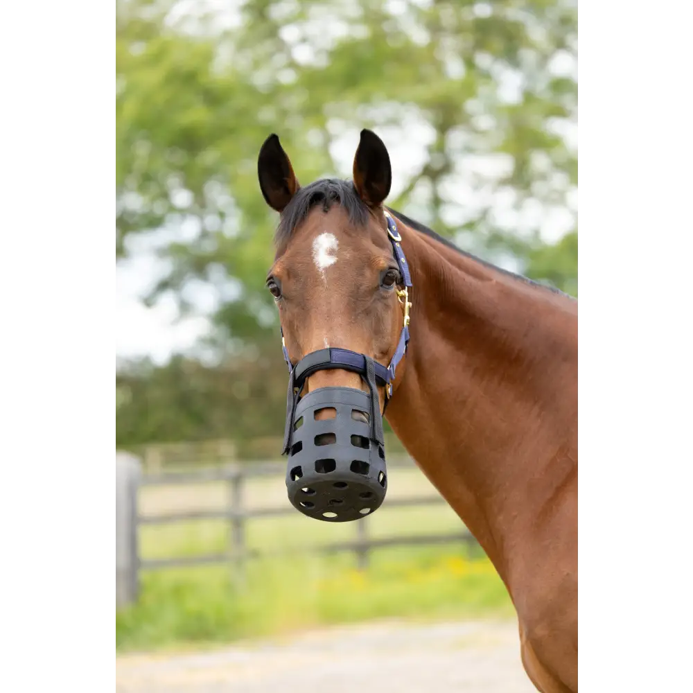 Hy Equestrian Rubber Muzzle Black X Small Pony Grazing Muzzle