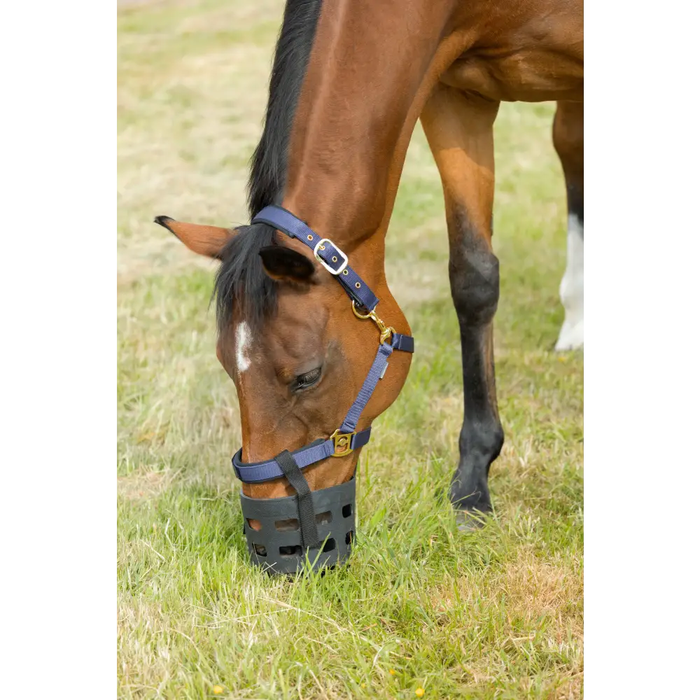 Hy Equestrian Rubber Muzzle Black X Small Pony Grazing Muzzle