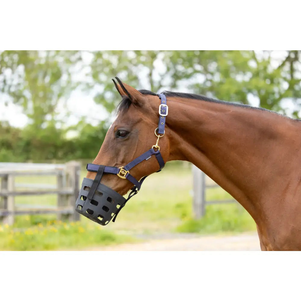 Navy blue leather equestrian rubber muzzle with gold metal hardware and breathable mesh design by hy equestrian