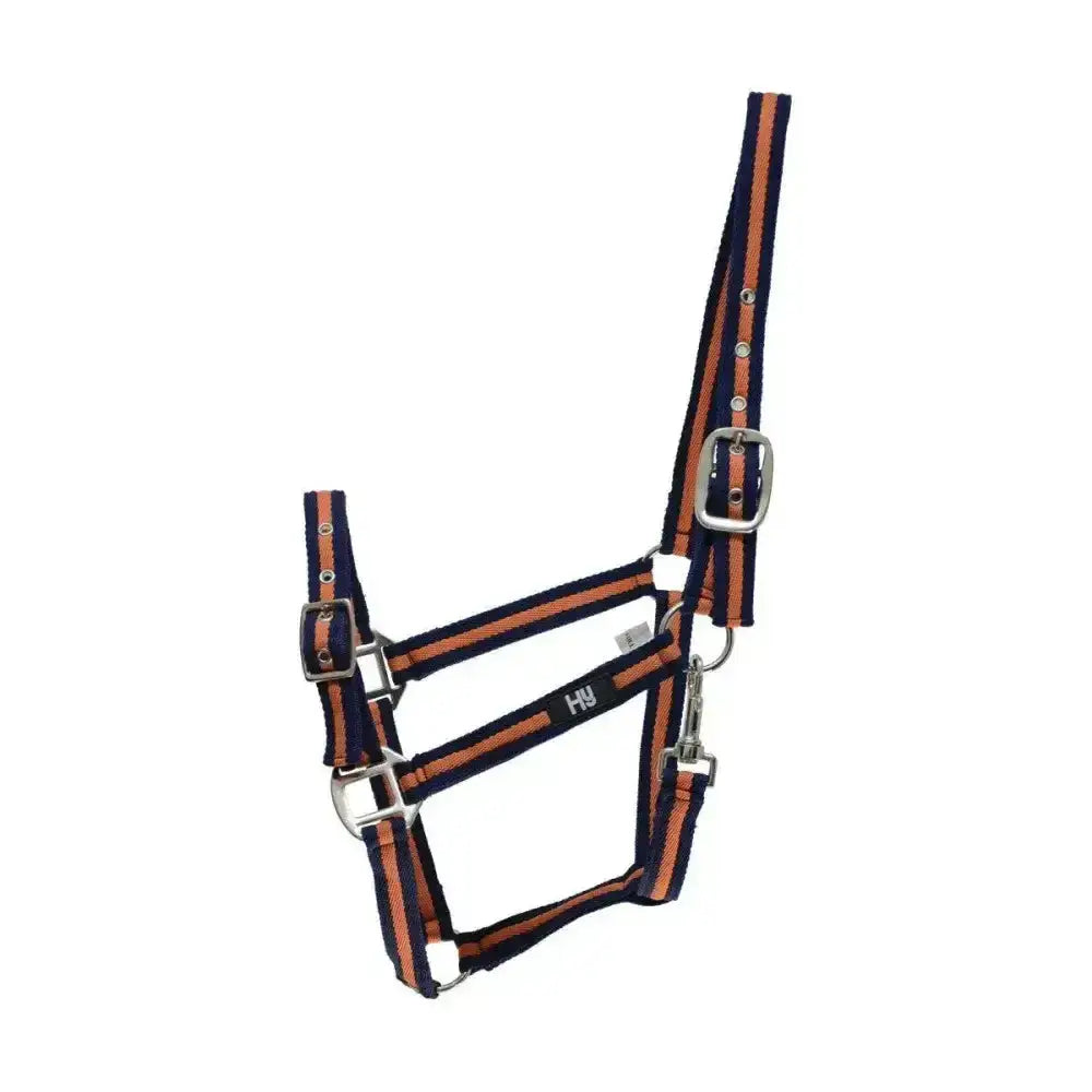 Navy blue and orange striped hy equestrian soft webbing head collar with silver buckles for a comfortable fit