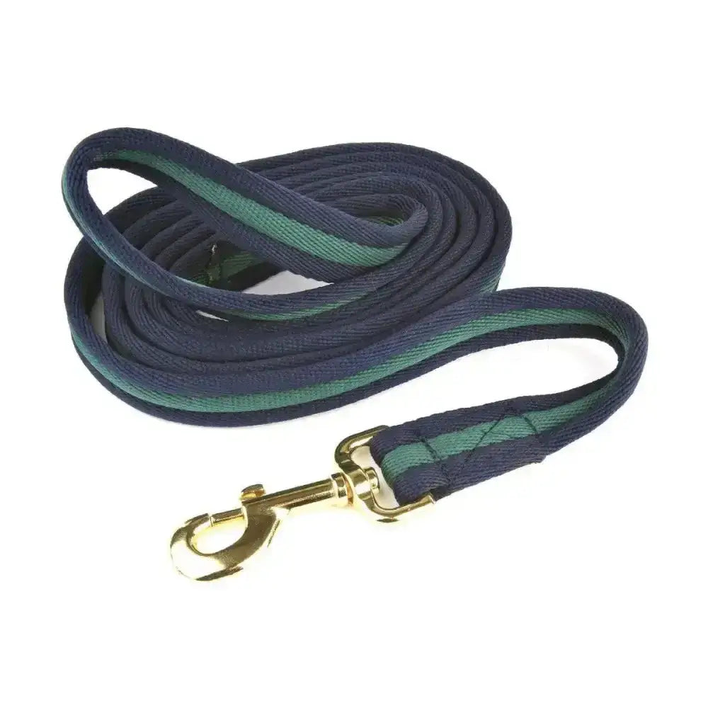Navy and green striped hy equestrian soft webbing lead with gold metal clasp perfect as a webbing lead rein