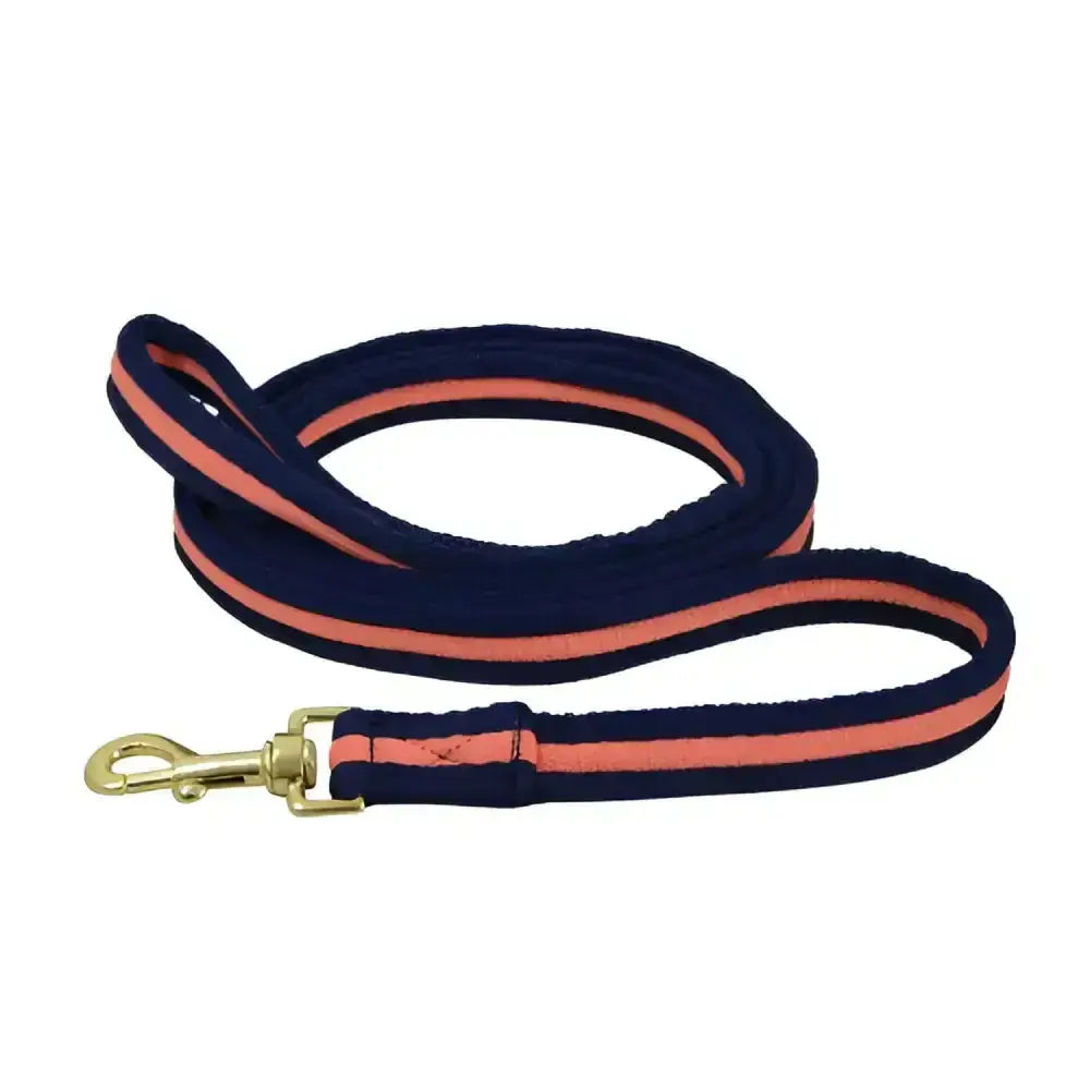 Navy blue and coral striped suede soft webbing lead with brass hardware from hy equestrian without chain