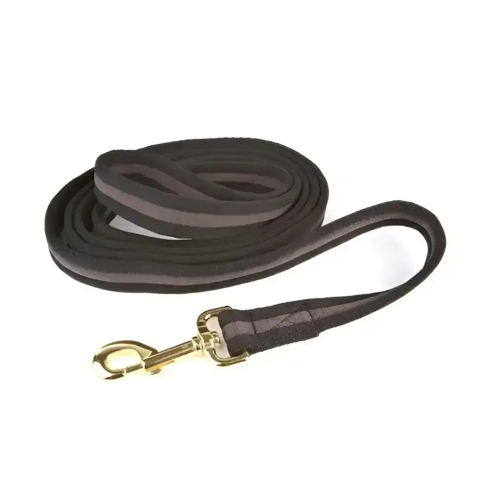 Dark brown leather dog leash with gold clasp from hy equestrian soft webbing lead rein without chain