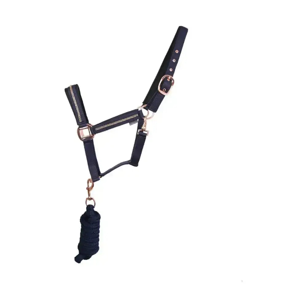 Black leather sparkling head collar and matching braided rope lead rope set with silver hardware by hy equestrian