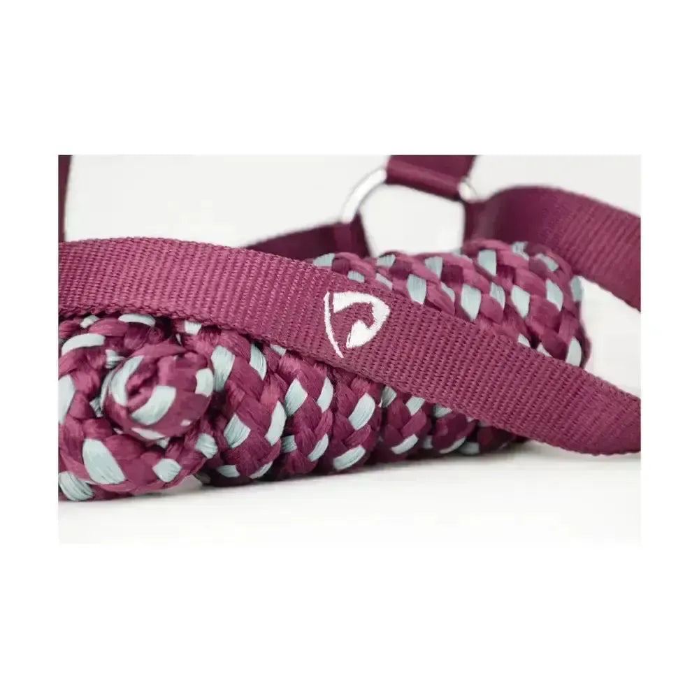 Hy Equestrian Synergy Head Collar & Lead Rope Fig Fig/Silver Small Pony Headcollar Sets