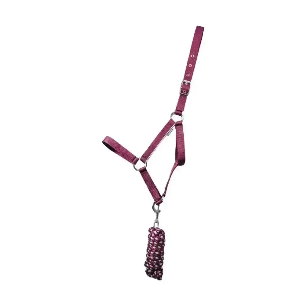 Hy Equestrian Synergy Head Collar & Lead Rope Grape Grape/Silver Small Pony Headcollar Sets
