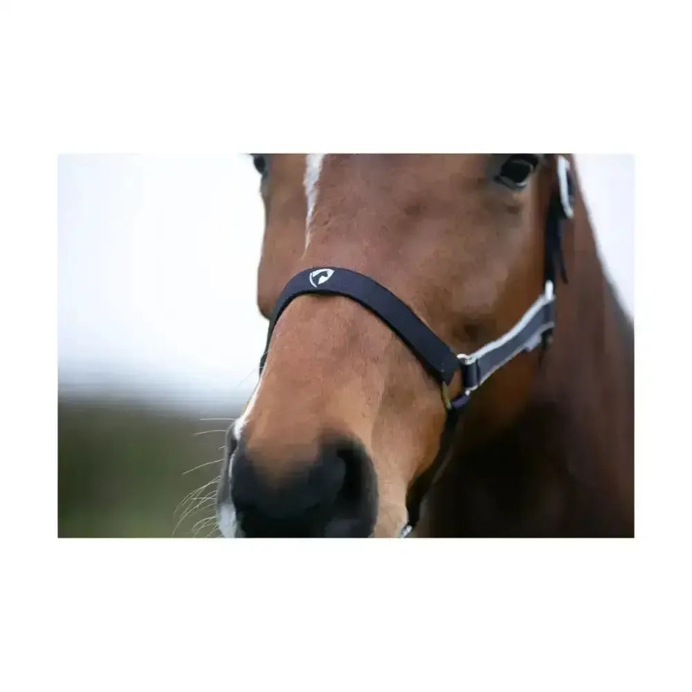 Hy Equestrian Synergy Head Collar & Lead Rope Navy Grape/Silver Small Pony Headcollar Sets
