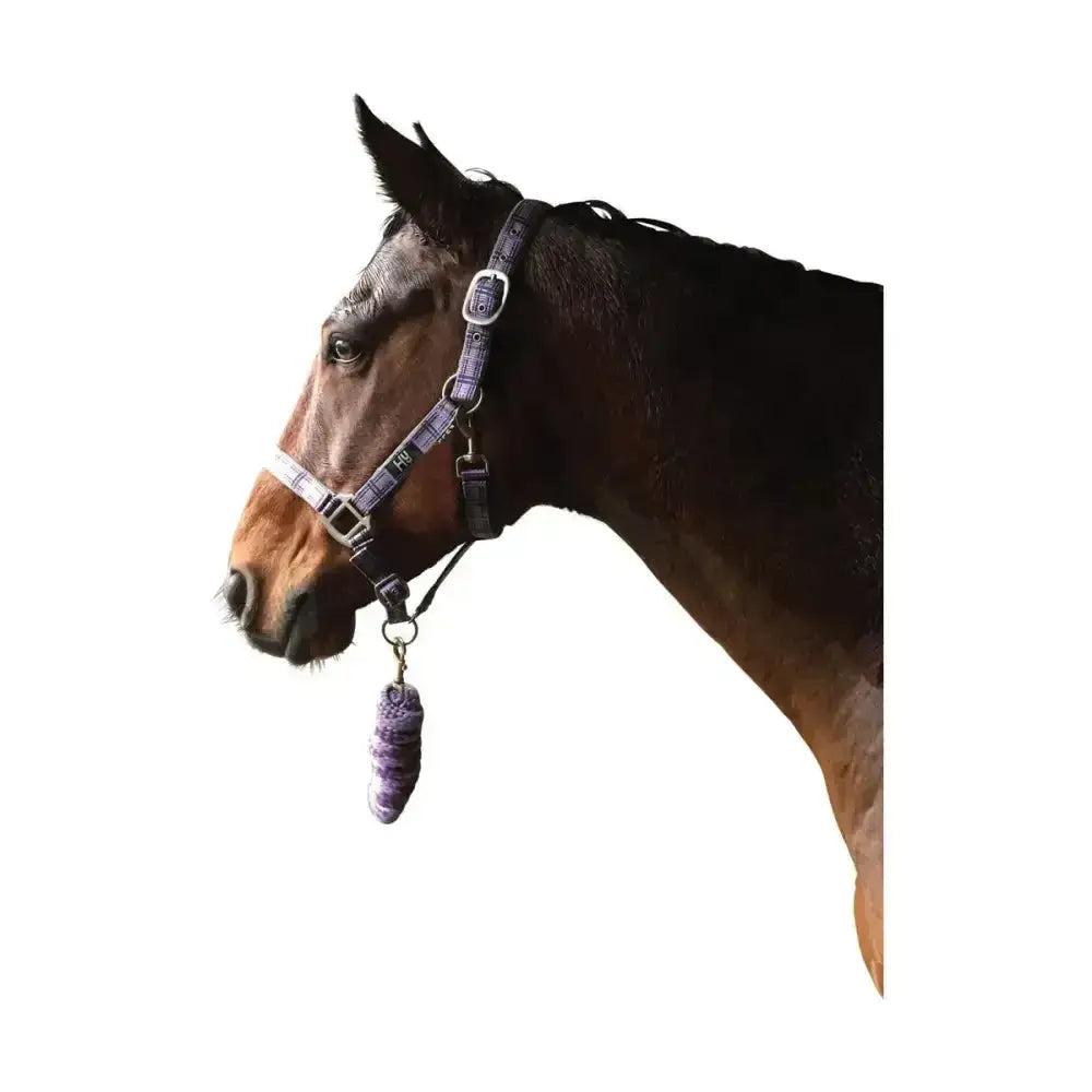 Purple patterned tartan head collar with lavender crocheted noseband charm by hy equestrian for smart tartan head look