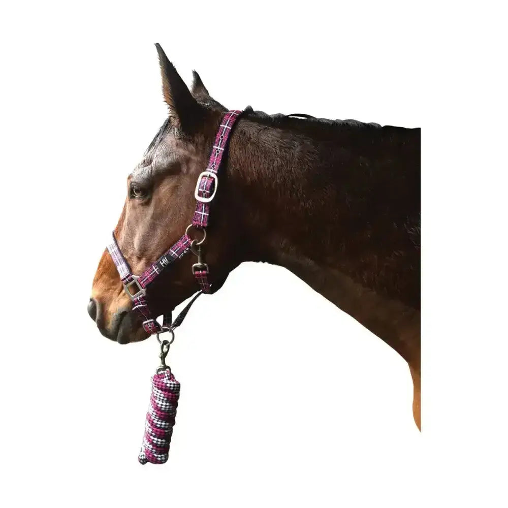 Hy Equestrian smart tartan head collar in purple and white plaid with silver buckle and lead rope for horses