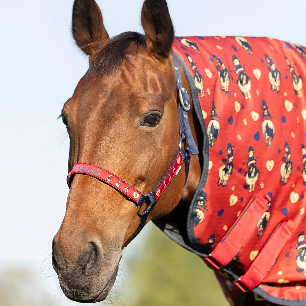 A brown horse wearing a red patterned blanket and matching red act head collar from equestrian thelwell collection balancing act